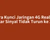 Cara Kunci Jaringan 4G Realme agar Sinyal Tidak Turun ke 3G