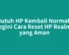 Butuh HP Kembali Normal? Begini Cara Reset HP Realme yang Aman