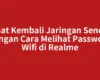Lihat Kembali Jaringan Sendiri dengan Cara Melihat Password Wifi di Realme