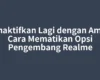 Nonaktifkan Lagi dengan Aman: Cara Mematikan Opsi Pengembang Realme