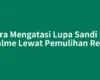 Cara Mengatasi Lupa Sandi HP Realme Lewat Pemulihan Resmi